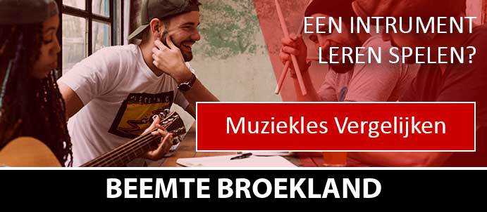 muziekles-muziekscholen-beemte-broekland