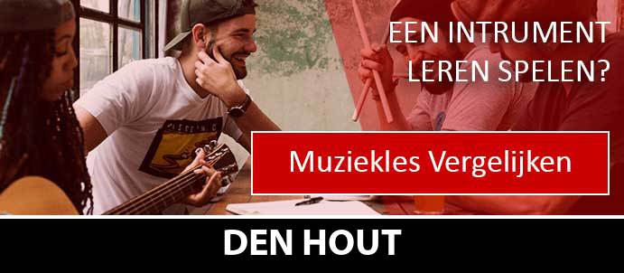 muziekles-muziekscholen-den-hout