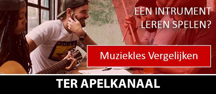 muziekles-muziekscholen-ter-apelkanaal